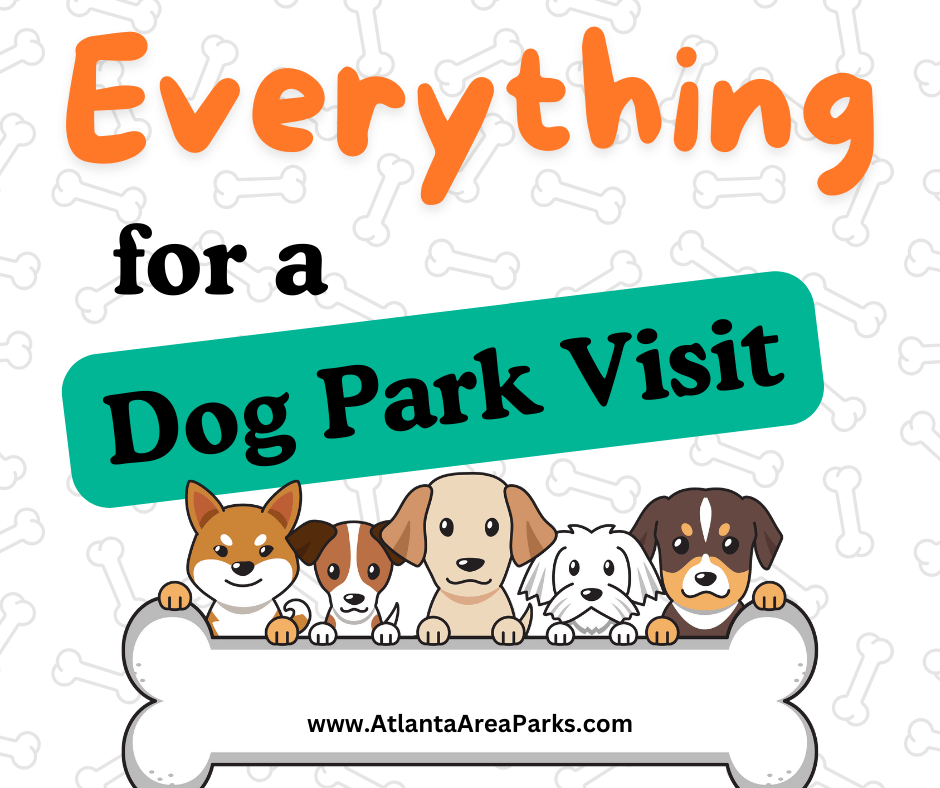 Article of things to take to the dog park
