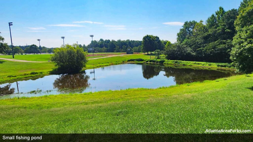 Small-fishing-pond