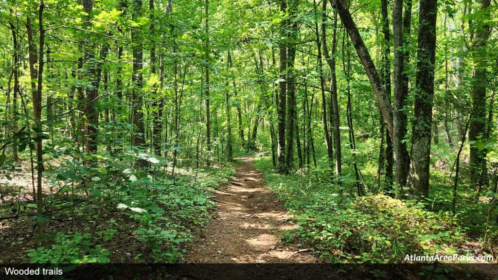 Wooded-trails