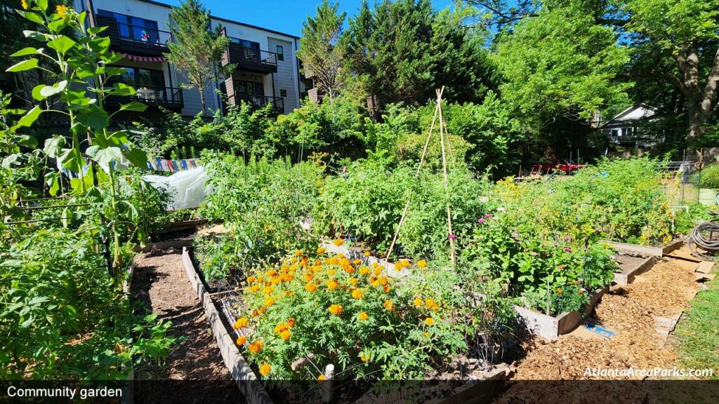 Community-garden