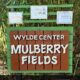 Mulberry Fields